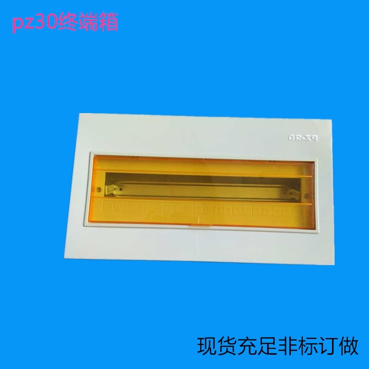 低价直销 PZ30回路箱 PZ30照明箱 20回路配电终端箱 豪华开关箱