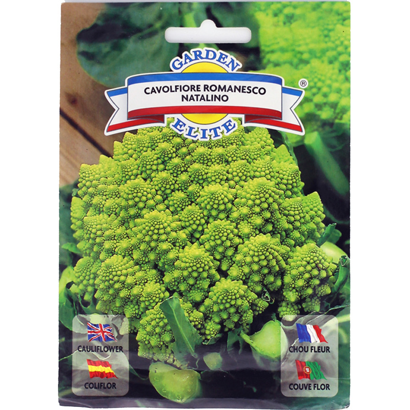 花菜种子花菜籽罗马花椰菜种子菜花种子蔬菜种子批发菜种菜籽 阿里巴巴