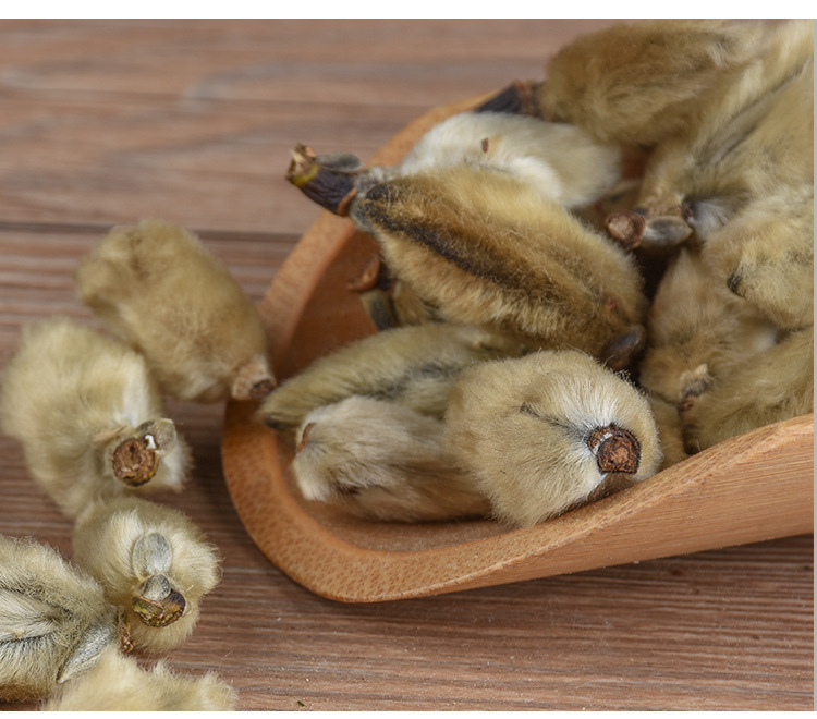 Xin Yi Hua (Magnolia biondii) — Dried Magnolia Flower Buds, Food-Herb for Tea & Soup quality and texture