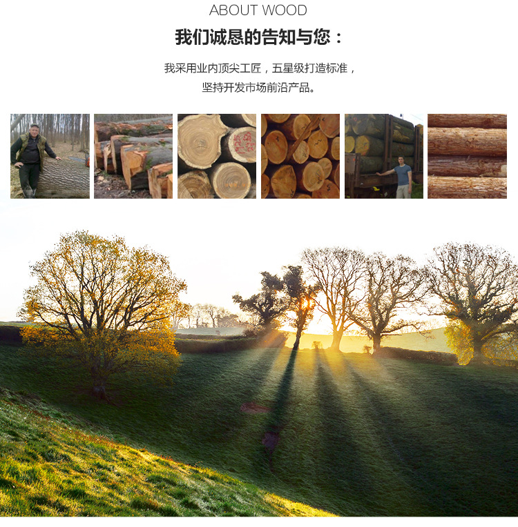 Perfect Luxury Modern Iron Casting Golden Nightstand Coffee End Bedside Table Home Furniture Nightstands Cabinet Cupboard Living Room 4