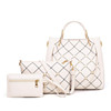 Set, fashionable bag strap one shoulder, suitable for import, 2021 collection, Korean style, 3 piece set