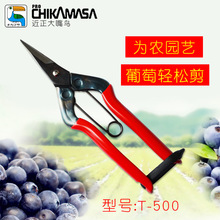 �ձ��M��chikamasa���������BT-500�����O��ժ����T-55C늹���