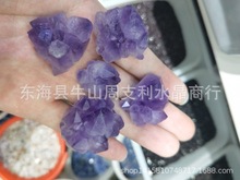 天然紫水晶簇原石摆件 紫水晶簇晶牙小摆件 2.5--3.5cm左右小晶簇