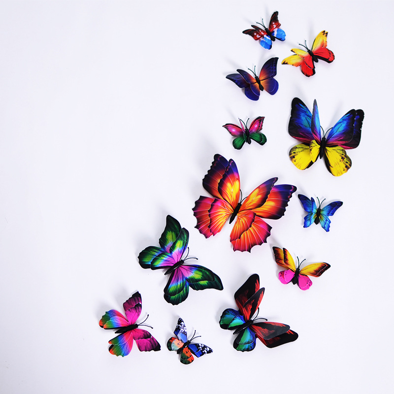 蝴蝶颜色图彩虹磁铁加胶改图用.jpg