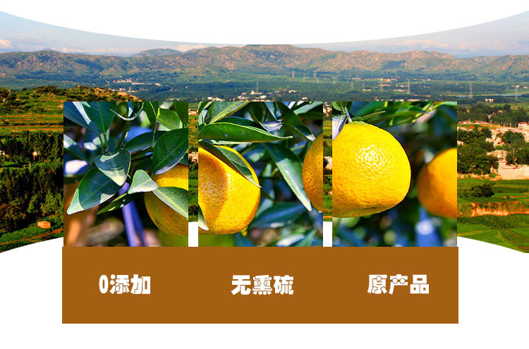 Fujian Aged Chen Pi (Citrus reticulata) — 3-Year Dried Tangerine Peel for Tea & Cooking, 500g quality and texture