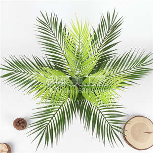 ��� 9�^���F���~ާ��~ɢβ������ֲ���˹�ݻ�c�ٻ�·���b�