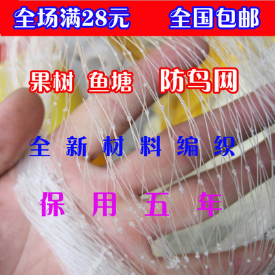 厂家直销果园尼龙防鸟网葡萄防鸟网家禽网养殖网尼龙网|ms