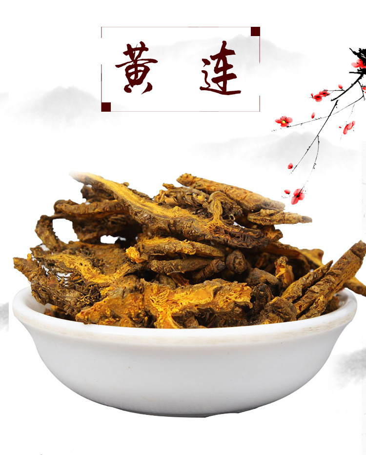 Huang Lian (Coptis chinensis) — Dried Bitter Herb Rhizome, Food-Herb Decoction Piece overview