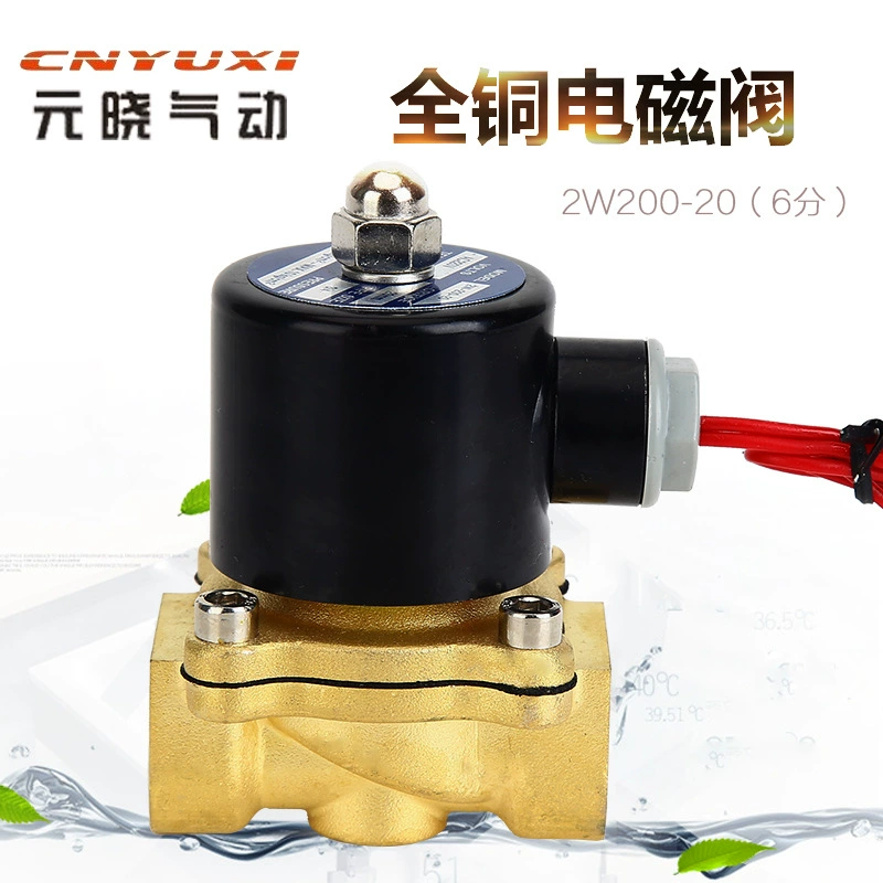Yuan Xiao DN20 полностью медный Пневматический электромагнитный клапан 220V 2w200-20 нормально закрытый двусторонний соленоидный водяной клапан в наличии оптом