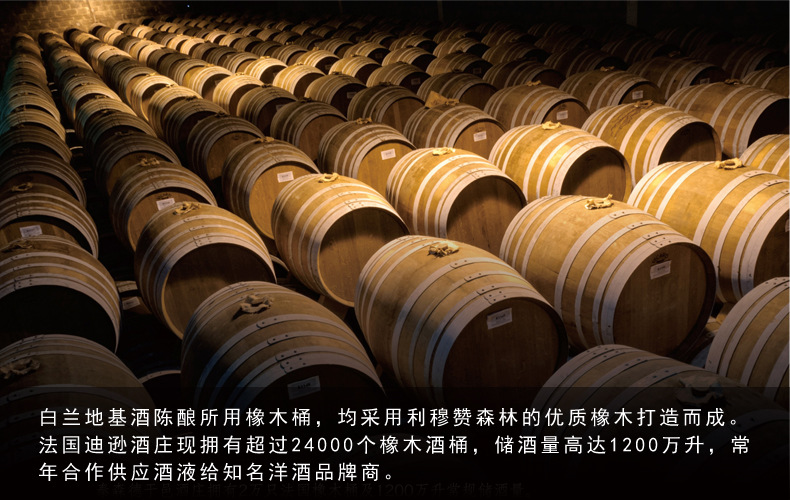 法国泰德酒庄2