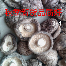 產地供應短腳香菇干貨 食用菌干香菇 小香菇500g規格3-4批發