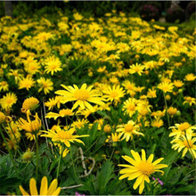 շNSջNӴļ_⻨׷N׻