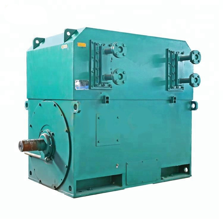 ҵõYKS50010-6 1000KW 6KV 990Rѹ綯