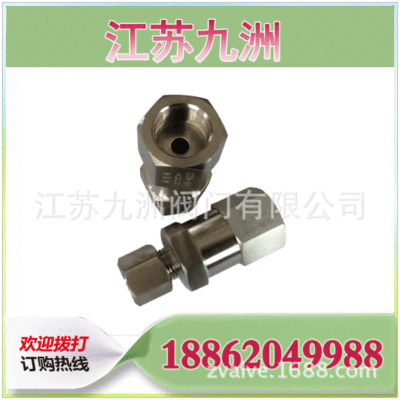 厂家供应单向止回阀 不锈钢内螺纹单向阀|ms