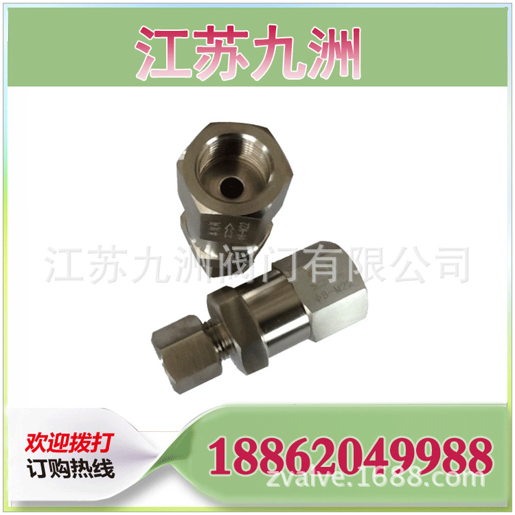 厂家供应单向止回阀 不锈钢内螺纹单向阀|ms