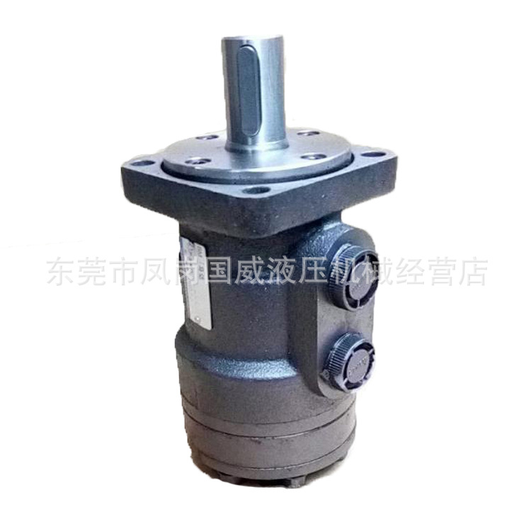 ����˹BM1-200Һѹ����   Һѹ�������� BMRϵ�е�ת�ٴ�Ť������