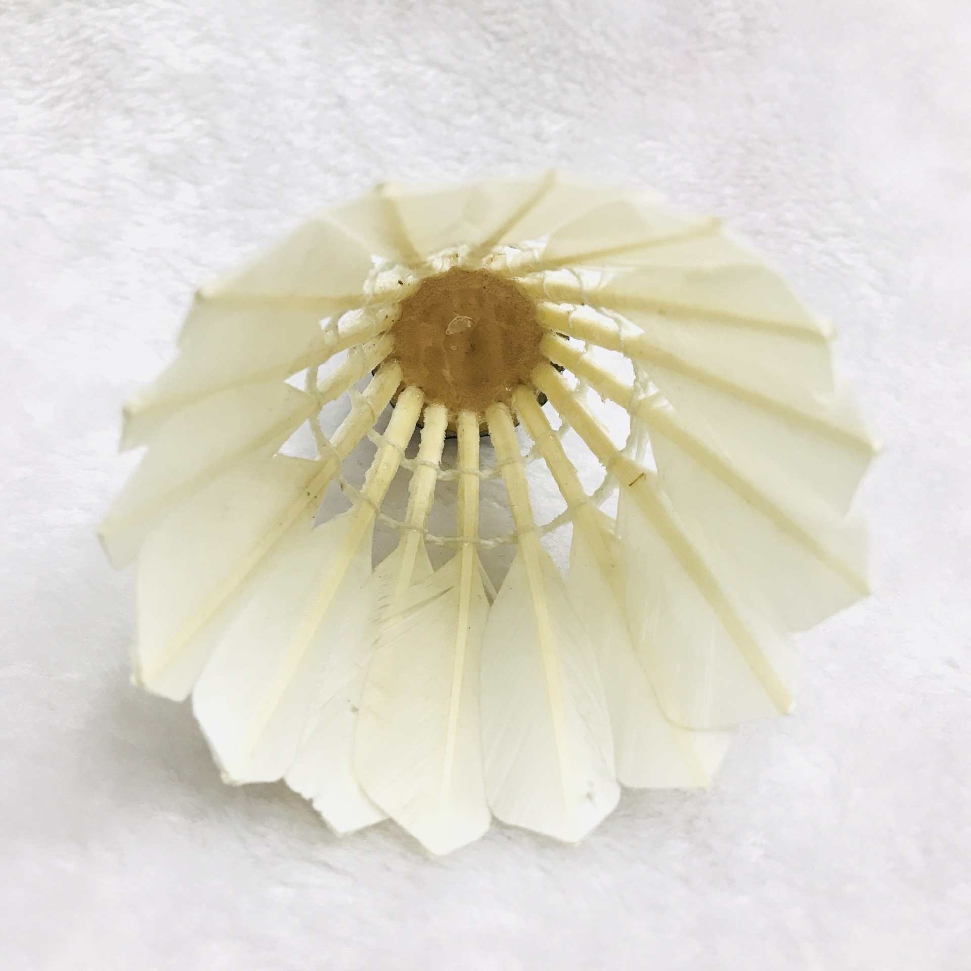 IMG_3126(20180305-112317)