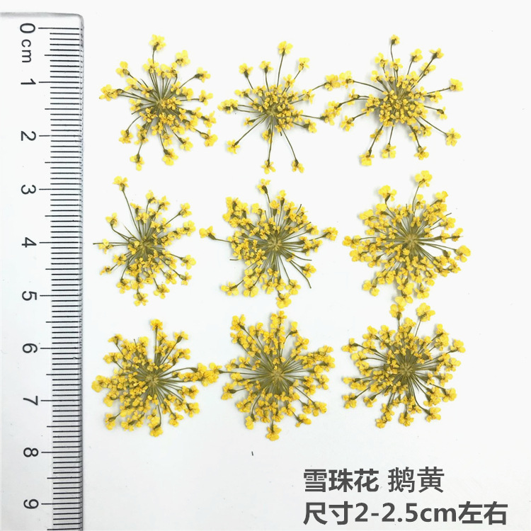 QQ图片20181124165907