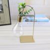 Creative transparent plant lamp, glossy bulb, modern decorations for living room, jewelry, new collection