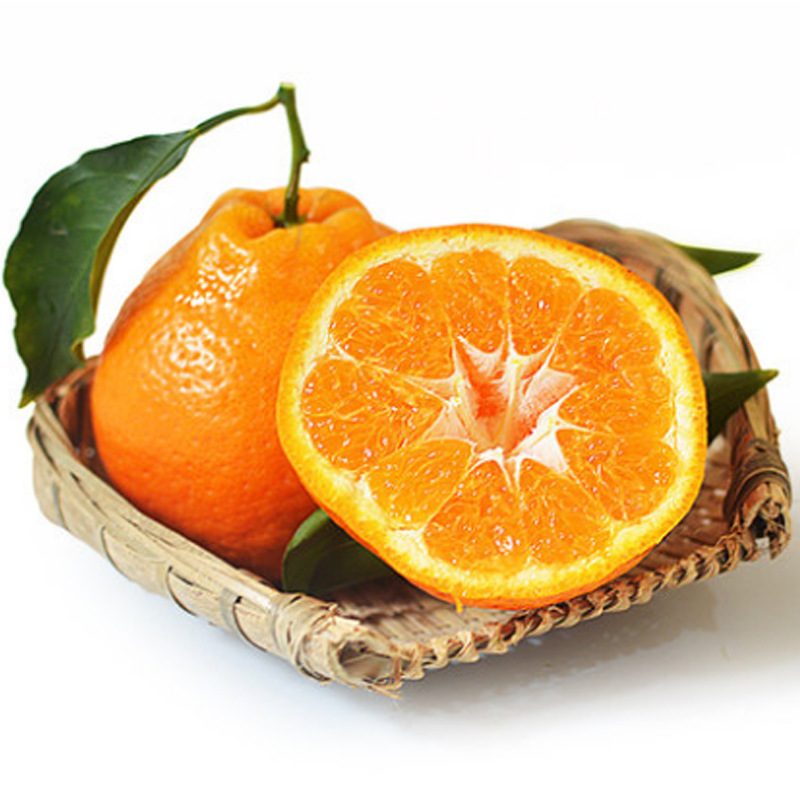 四川春見耙耙柑非醜橘不知火醜桔子新鮮水果愛媛果凍橙【試吃裝】