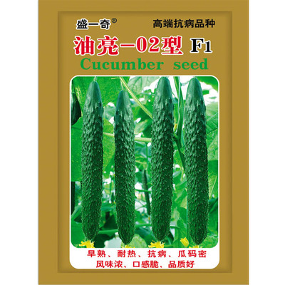 油亮型带刺黄瓜种 蔬菜种子 厂家批发 耐热黄瓜种子 丰产型|ms