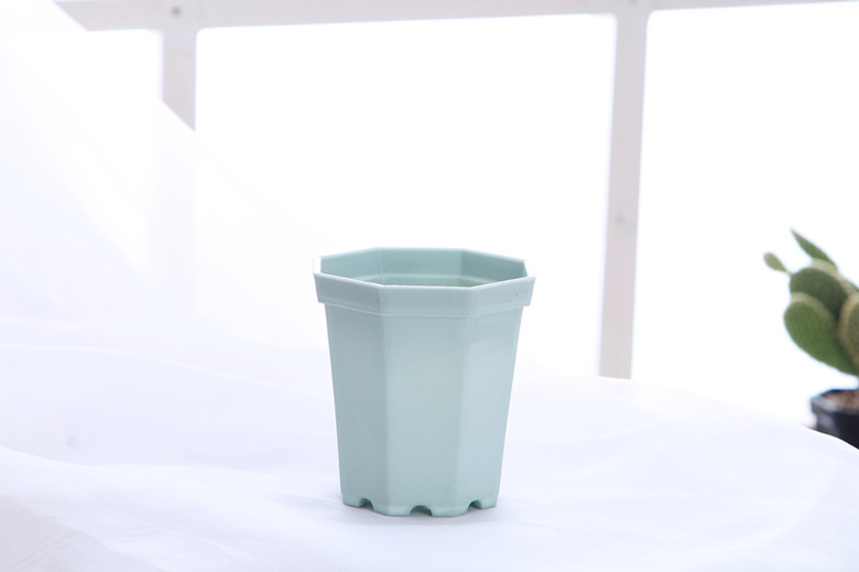 IMG_4728_����