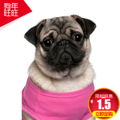 免費打樣廠家供應柯式燙畫來圖定制冷撕熱撕燙畫紙立體燙畫爆款圖