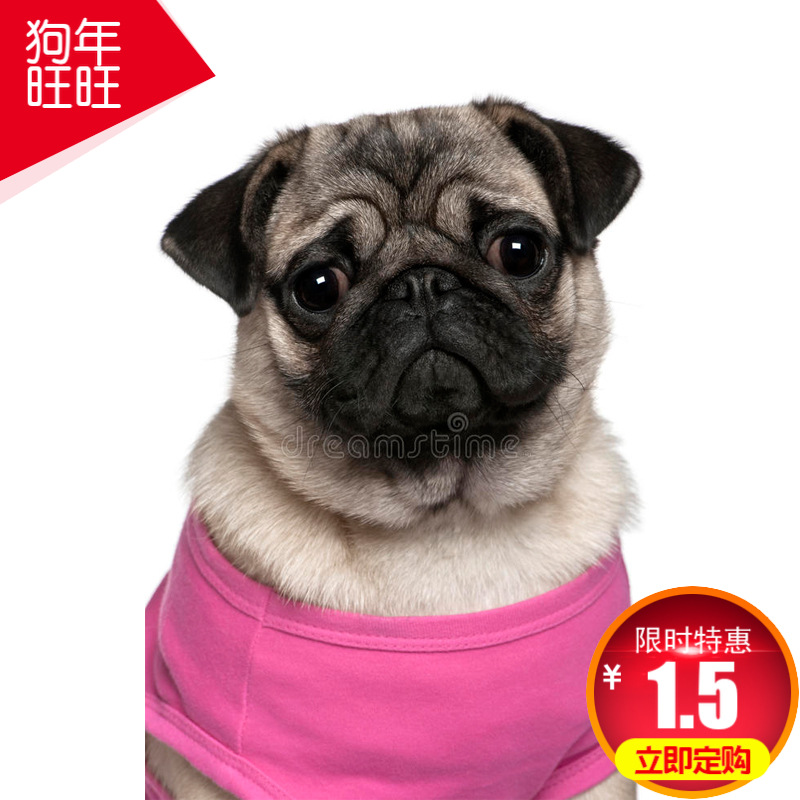 免費打樣廠家供應柯式燙畫來圖定制冷撕熱撕燙畫紙立體燙畫爆款圖