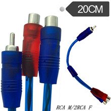 һֶRCAɏDĸlҕlD^һĸAVBӾ͸Ӵ