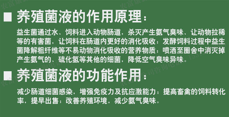 em菌养猪调节肠道