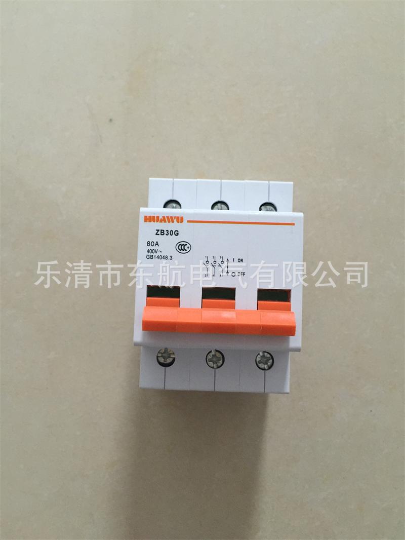 正品上海华通ZB30G-100系列小型隔离开关 华五牌断路器 微断