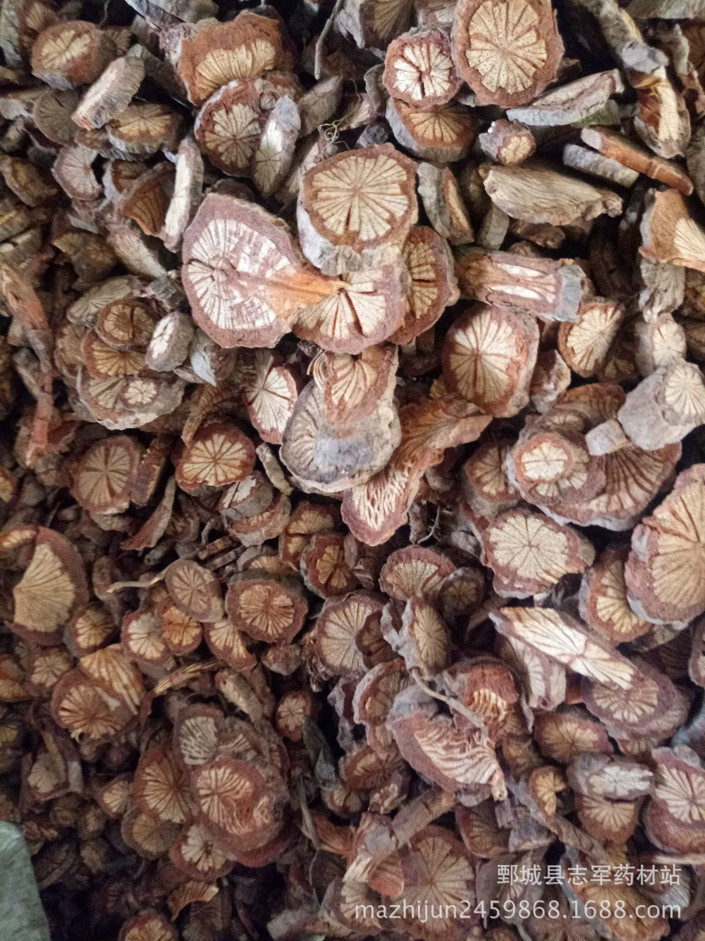 Красная виноградная лоза