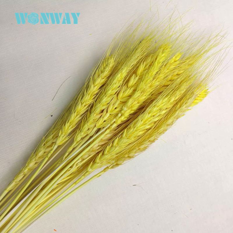 微信图片_20180707140430