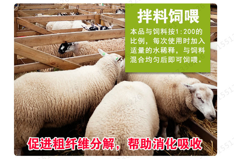 益生菌養牛使用方法