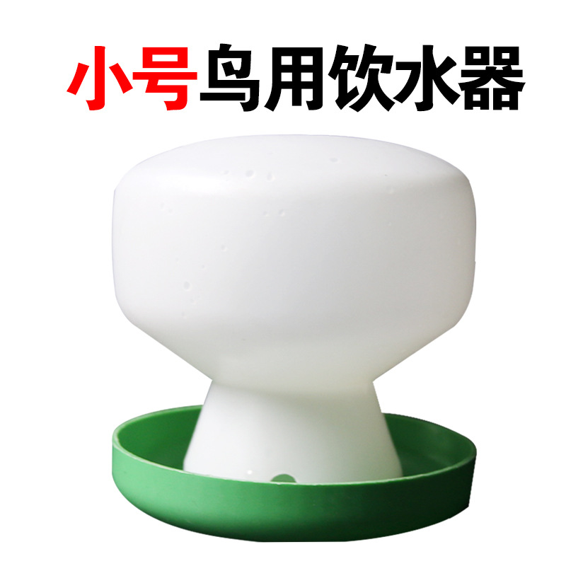 Alimentador automático y bebedero para aves, ideal para palomas y loros, dispensador 2 en 1