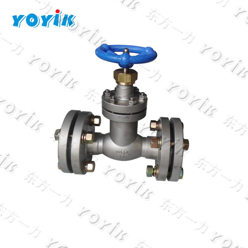 波纹管截止阀WJ15F1.6P 含阀芯密封件 东方一力加工-