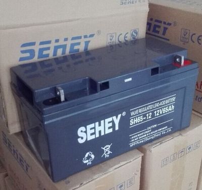 西力蓄电池12V65H SEHEY SH65-12 UPS 免维护蓄电池 太阳能