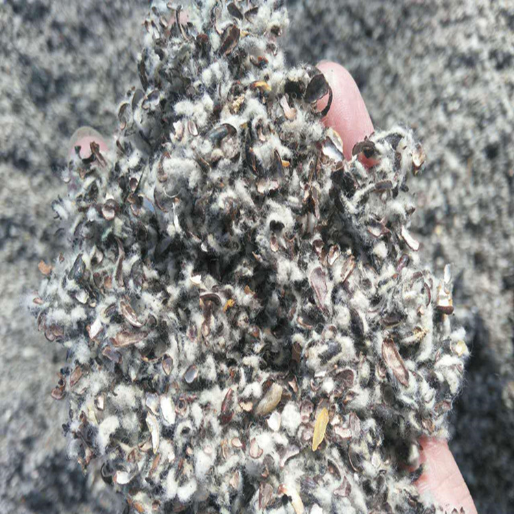 A0298b1c77e56c7c4c1258D4D5832e