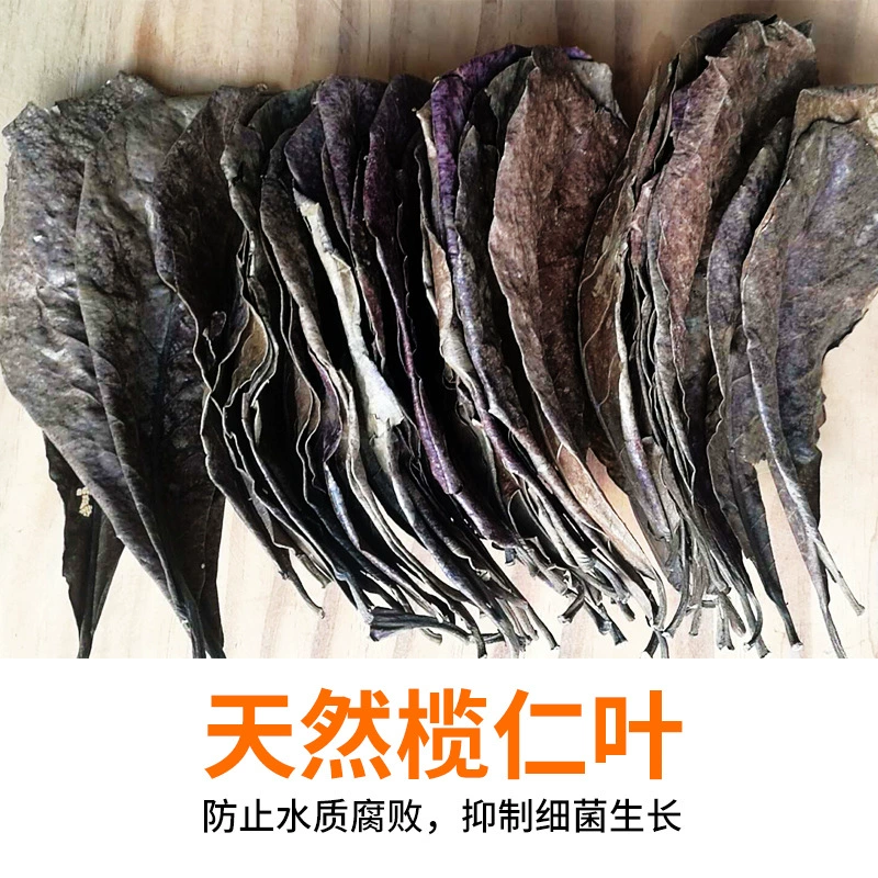 Доу Ю, Лист Элемене, Лист Ленивых Людей, Аквариумная Маленькая Горячая Рыба-Дракон, Черепаха, Аквариум для Креветок, Снижение кислотного аквариума, Значение pH, Улучшение качества воды