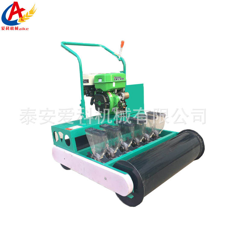 手推式白菜芹菜播种机 菠菜播种机 汽油170型油菜播种机