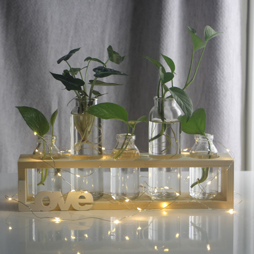Creative pothos glass vase Nordic style hydroponic plant flower arrangement container wooden frame decoration home desktop decoration