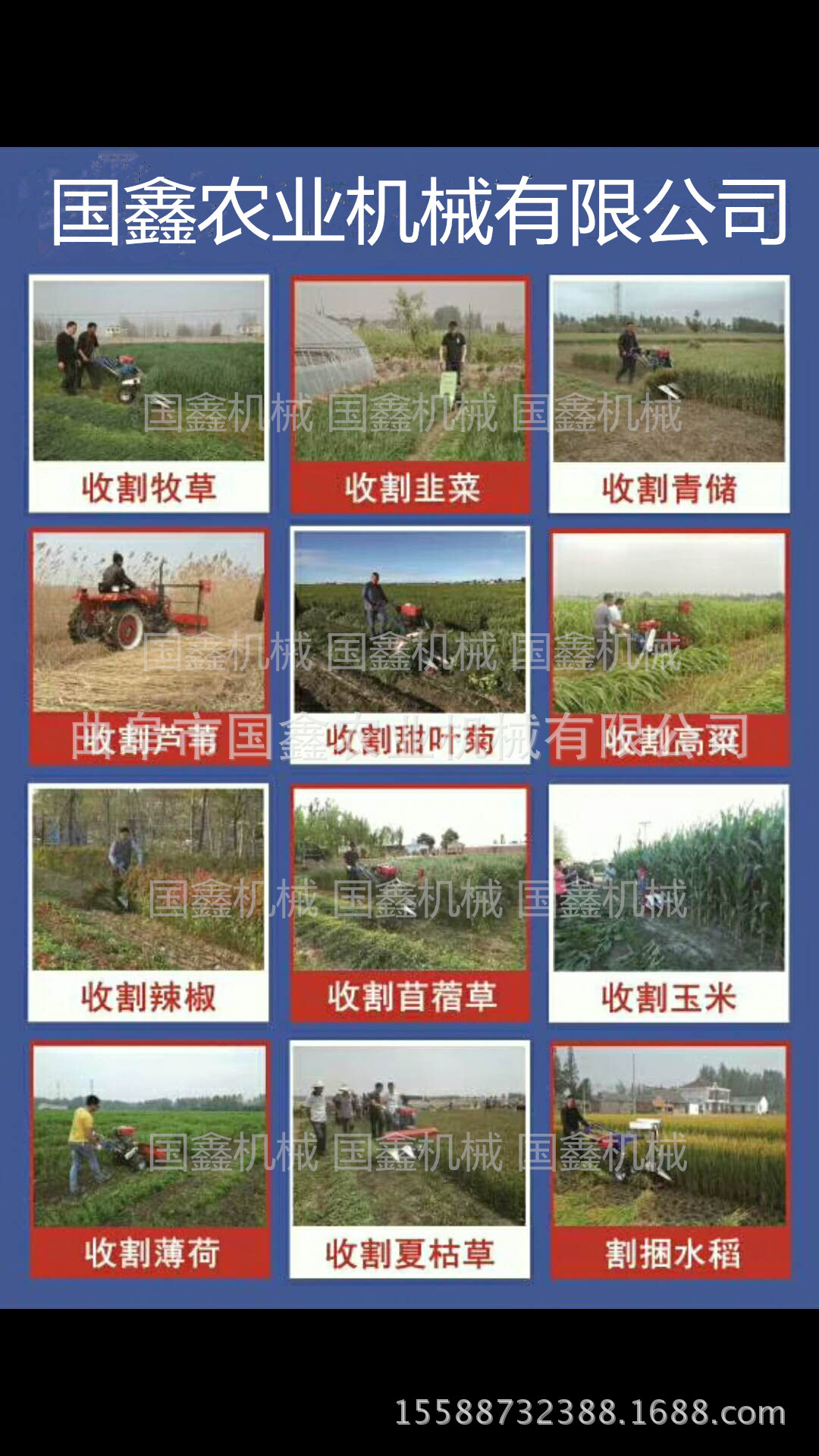 阆中稻麦打捆收割一体机 小麦水稻割捆一体机