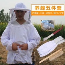 養蜂套裝五件套蜂服手套起刮刀蜂掃王籠養蜂套裝防蜂衣防護服蜂具