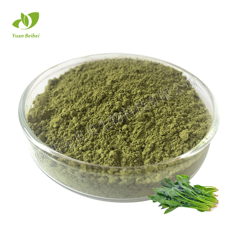 菠菜汁粉壹贝子实力工厂免费拿样原料现货批发菠菜提取物菠菜粉