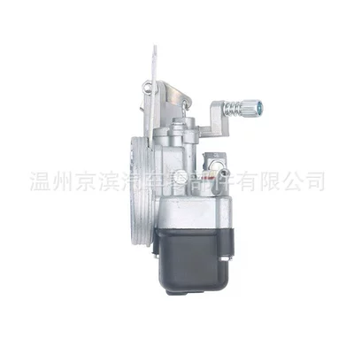 dellorto chain saw mechanical – Carburetor