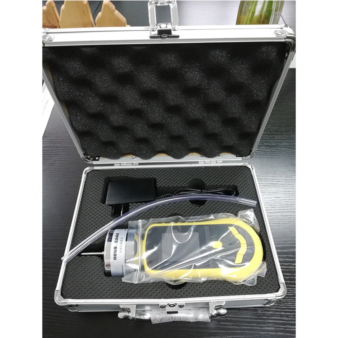 西尔工业CL-04N泵吸气体检测仪V2.6