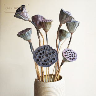 �S�����lɏ��ɻ����� �������滨�Ĕz����ɏź�ɻ��͏d�b[�O