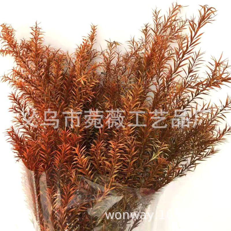 微信图片_20181102152216