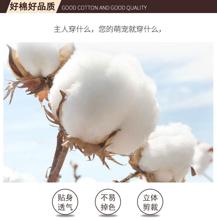 宠物详情页款_02