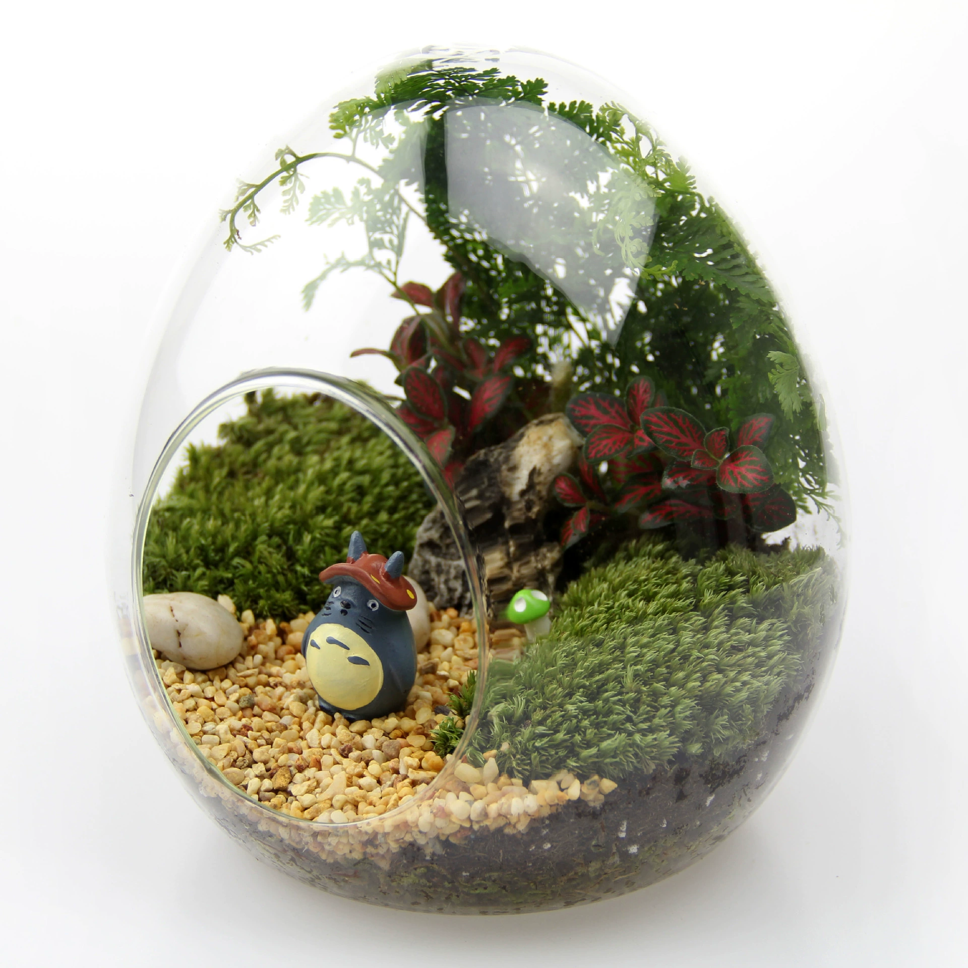 Творческий подарок мох микро пейзаж костюм закончил экологическую бутылку большое яйцо костюм яйцо бутылка